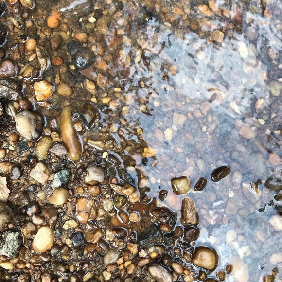 Meet your Posher, Heather - Picture 1 of 1